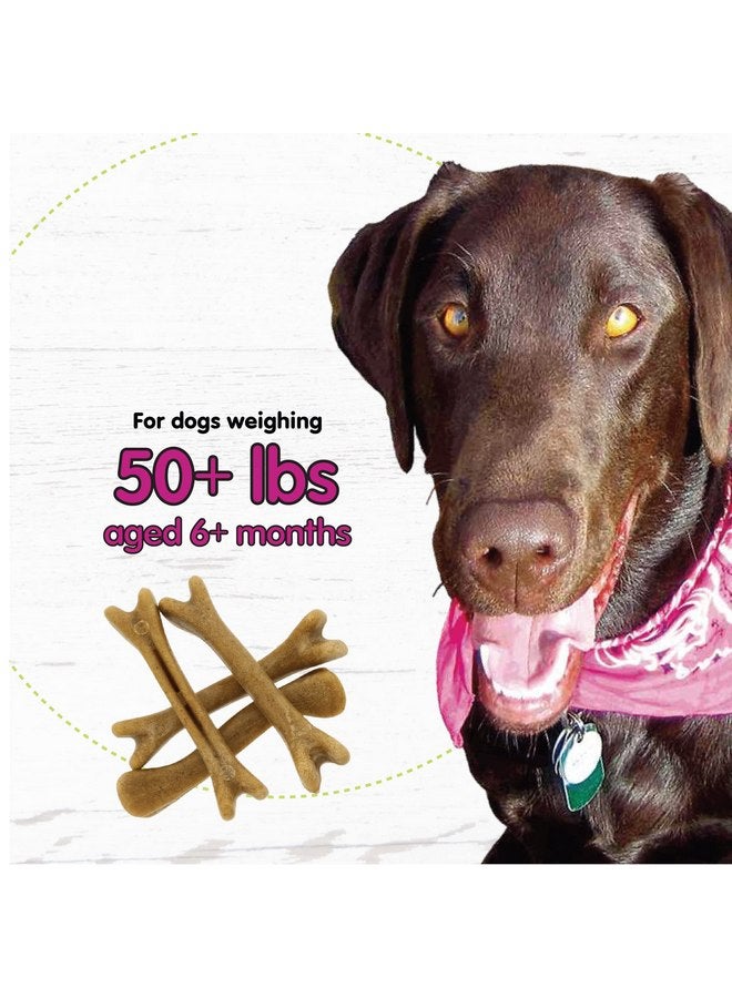 Fido Belly Bones for Dogs, 4 Yogurt Flavor Large Dog Dental Treats (Made in USA) - 4 Count Dog Treats for Large Dogs - Plaque and Tartar Control for Fresh Breath, Digestive Health Support - Image 5