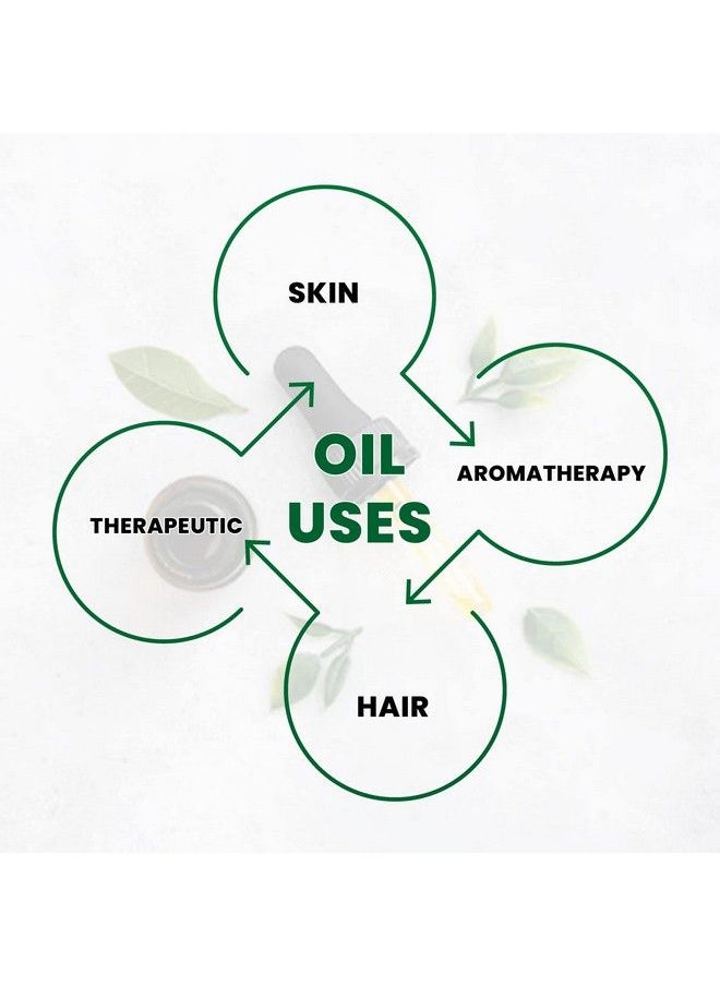 Globatic Herbs Carrot Seed Essential Oil 50Ml (Daucus Carota) Organic Undiluted Aromatherapy & 100% Therapeutic Grade  - Image 4
