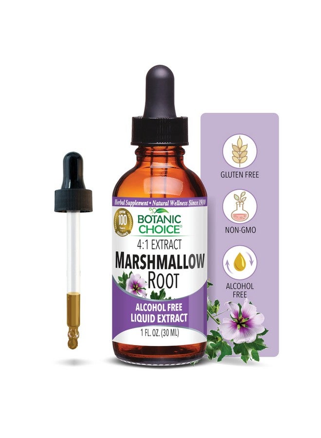 بوتانيك تشويس مستخلص سائل من جذر الخطمي من بوتانيك تشويس - خالٍ من الكحول والغلوتين ودعم تقليدي للحلق والجهاز التنفسي 1 أونصة سائلة. - Image 1