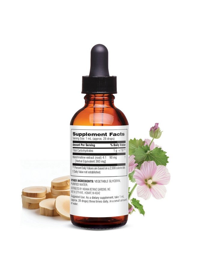 بوتانيك تشويس مستخلص سائل من جذر الخطمي من بوتانيك تشويس - خالٍ من الكحول والغلوتين ودعم تقليدي للحلق والجهاز التنفسي 1 أونصة سائلة. - Image 2