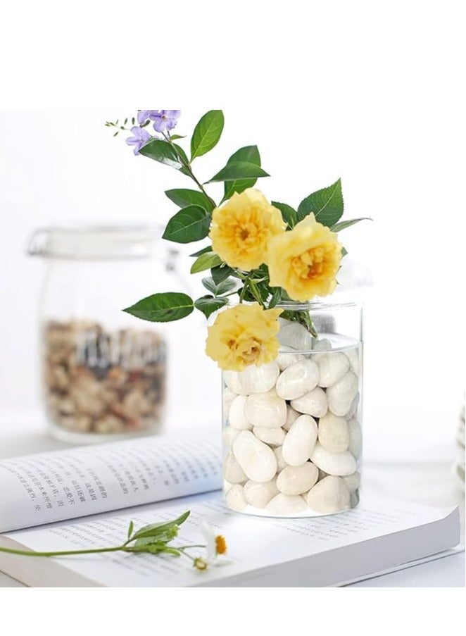 RR BRAND Home DIY Decor Aquarium Gravel Vase Fillers Fairy Garden Landscaping Outdoor Stones 1 KG White Pebbles Natural Decorative Stone Polished Gravel River Rocks for Plants  - Image 2