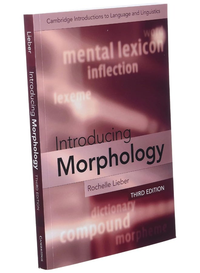 Introducing Morphology  - Image 3