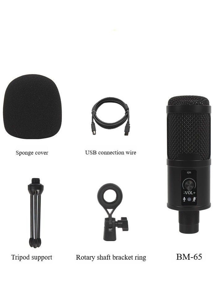 Professional USB Recording Portable Hanging Condenser Microphone Set,Portable Broadcasting, Studio Recording, Conference USB Condenser Microphone Kit Black - Image 1