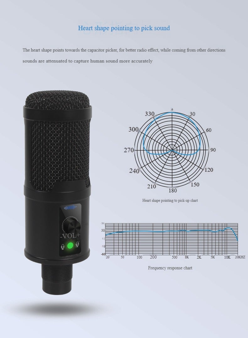 Professional USB Recording Portable Hanging Condenser Microphone Set,Portable Broadcasting, Studio Recording, Conference USB Condenser Microphone Kit Black - Image 4