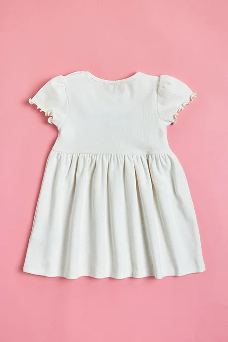 R&B Embroidered Dress with Crew Neck and Short Sleeves