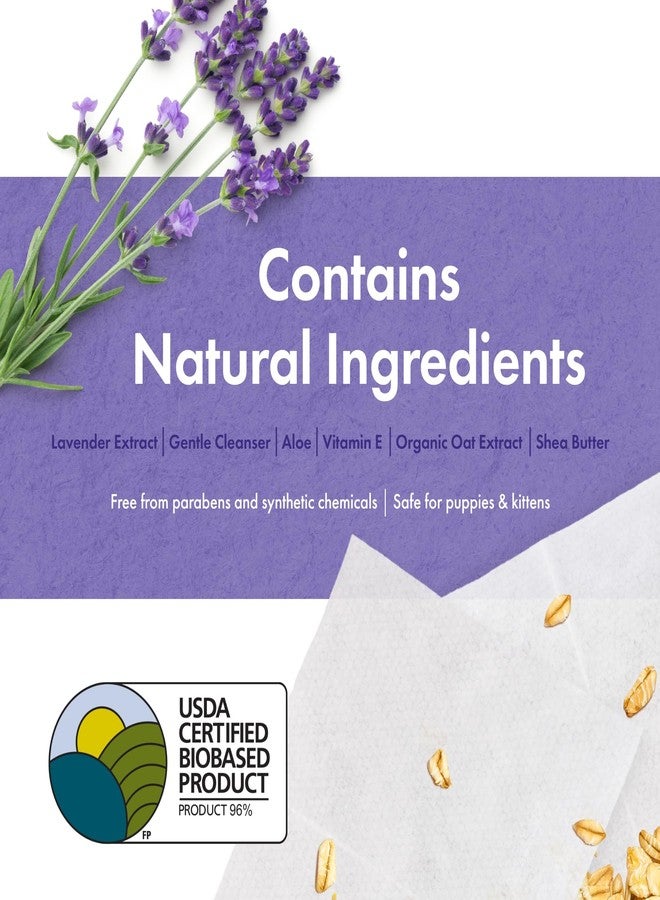 بيتكين مناديل بيتكين النباتية للحيوانات الأليفة، 200 منديل - مناديل كبيرة وسميكة، مستدامة، مصنوعة من مواد حيوية، للكلاب والقطط - للوجه، الكفوف، الأذنين، الجسم، ومنطقة العين - تنظف وترطب بلطف - برائحة اللافندر - Image 5