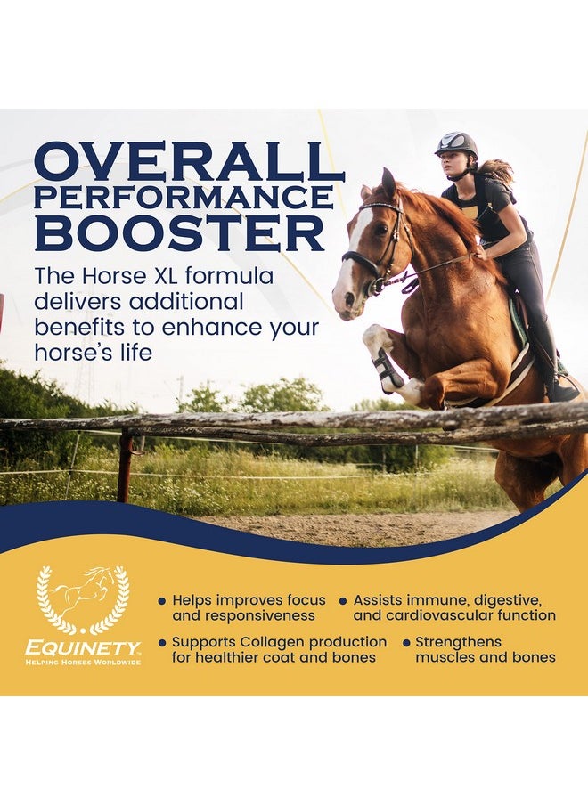 Equinety 100 Day Supply Horse Xl Horse Supplements Horse Care W/ 8 Essential Amino Acids To Promote Cellular Repair No Soy Or Sugar Coat Defense For Horses Horse Joint Supplement & Horse Hoof Supplements  - Image 3