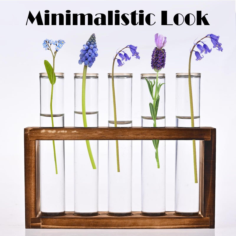 Tigvio Desktop Glass Plant Propagation Station with 5 Test Tubes in Wooden Stand - Hydroponic Plants Cutting Office Home Decoration and Garden Decor Terrarium (5 Tubes) - Image 3