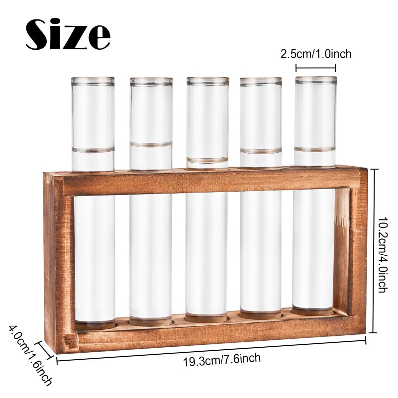 Tigvio Desktop Glass Plant Propagation Station with 5 Test Tubes in Wooden Stand - Hydroponic Plants Cutting Office Home Decoration and Garden Decor Terrarium (5 Tubes) - Image 2