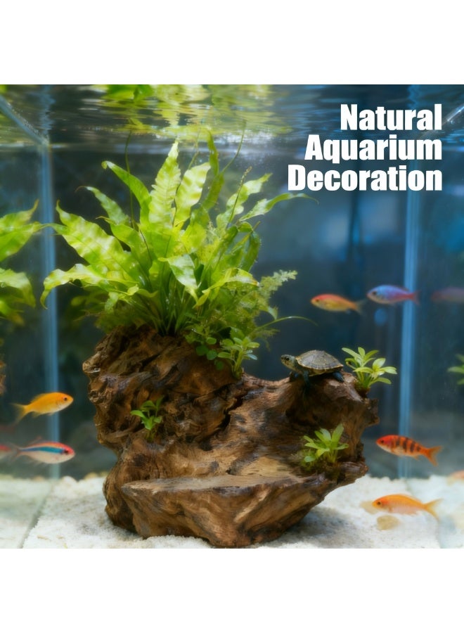 ديكور نحت جذور الخشب الطافي الطبيعي، منحوتة خشبية فاخرة مصنوعة يدويًا، ديكور حوض السمك، قطعة مركزية لطاولة الشاي بقاعدة نباتية وبونساي، 50×37×25 سم - Image 3
