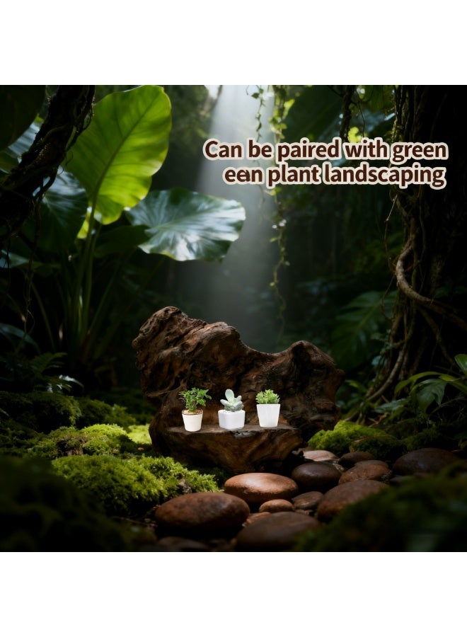 ديكور نحت جذور الخشب الطافي الطبيعي، منحوتة خشبية فاخرة مصنوعة يدويًا، ديكور حوض السمك، قطعة مركزية لطاولة الشاي بقاعدة نباتية وبونساي، 50×37×25 سم - Image 5