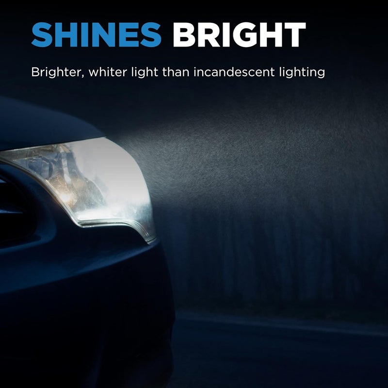 Wagner BP881 Halogen Light Bulb - Image 5