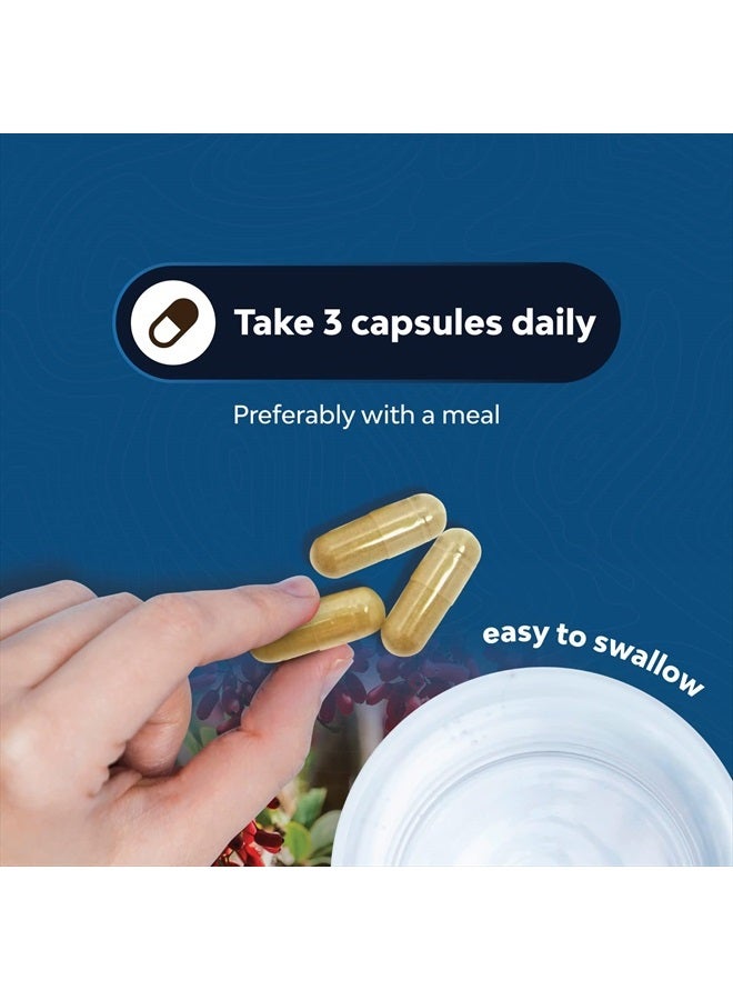 Natures Craft مركب بيربرين المتقدم، مستخلصات عشبية، 60 كبسولة - Image 5