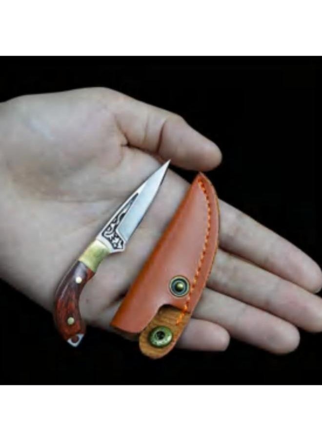 Mini Portable Knife for Camping Survival Tool