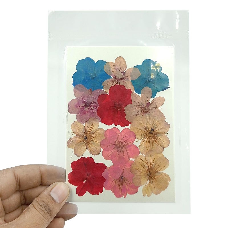 YellowCult YellowCult Natural Real Dried Pressed Flowers Sheets for Art Craft Mixed Multicolor for Soap Candle Journal DIY Resin Jewelry PendantBeautiful Cherry FlowerMulticolor