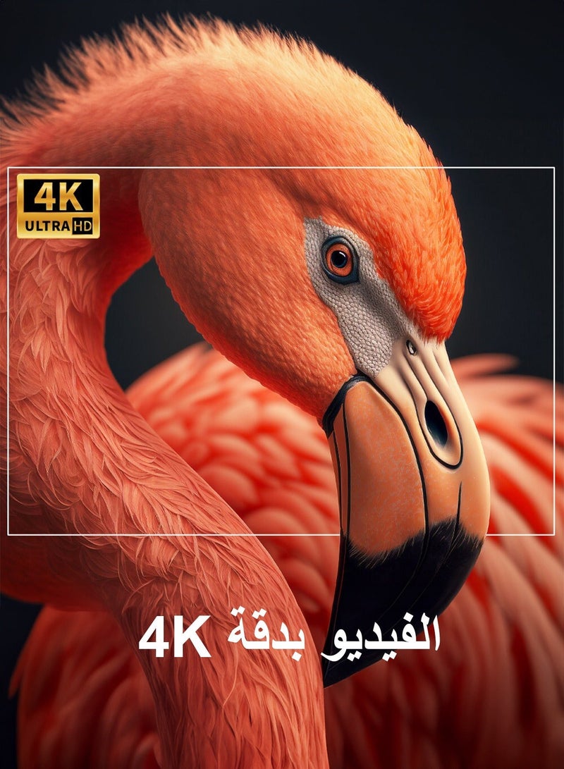 صوف بروجكتر بدقة 4K جودة عالية سهل الحمل والتنقل داخل المنزل او في الخارج نظام اندرويد ١١ واي فاي متوافق مع جميع الاجهزة التلفاز ومتوفر مدخل HDMI ومنفذ USB ويعمل مع البلايستيشن وأجهزة ابل والاندرويد - Image 3