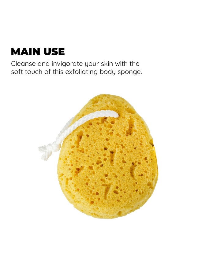 Jacent Deep Cleaning Sea Foam Bath And Body Sponge 1Pack - Image 4