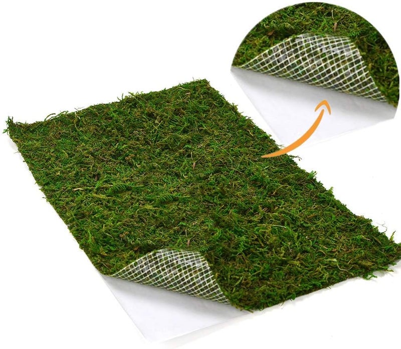 BYHER Dried Moss Mat for Wedding Birthday Party Fairy Garden Decorations, Dark Green (Green - 14" X 9") - Image 1