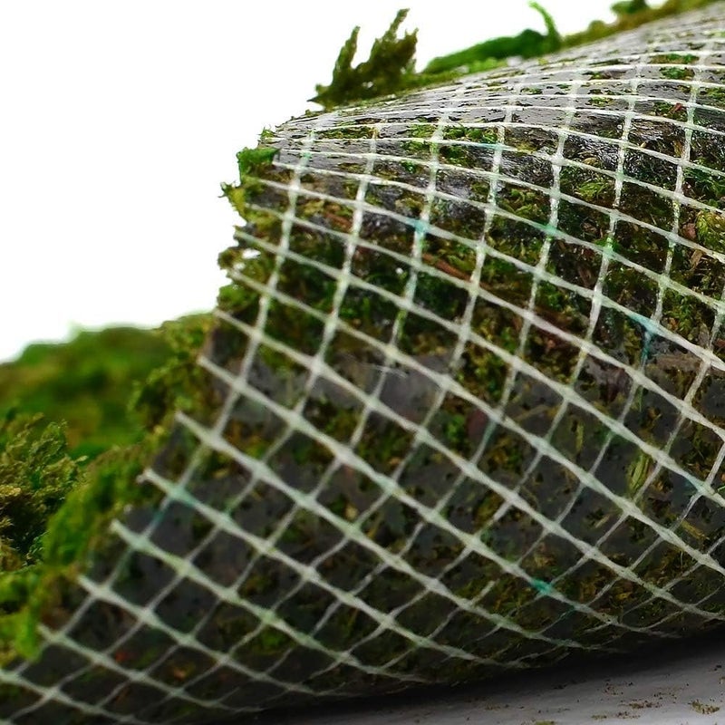 BYHER Dried Moss Mat for Wedding Birthday Party Fairy Garden Decorations, Dark Green (Green - 14" X 9") - Image 2