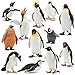 Toymany 12PCS Realistic Penguin Figurines Plastic Polar Antarctic Animal Figures Set with Penguin Cub Easter Eggs Cake Toppers Christmas Birthday Gift for Kids Toddlers - Image 3