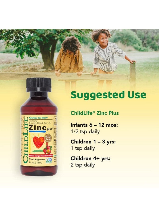 تشايلد لايف إسينشالز CHILDLIFE ESSENTIALS Liquid Zinc Plus - زنك للأطفال، مكملات الزنك، قطرات الزنك، سائل الزنك النقي، زنك للأطفال الصغار، جلوكونات الزنك والنحاس، دعم المناعة - مانجو فراولة، 4 أونصة سائلة (عبوة من 3 قطع) - Image 3