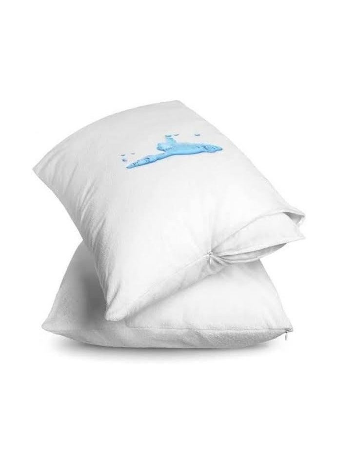Pillows Protector Set of 2 - pzsku/ZDCCE3A920AF829970DEDZ/45/_/1720955349/ffcaf904-4bac-41e2-a6de-a92321d63aa4