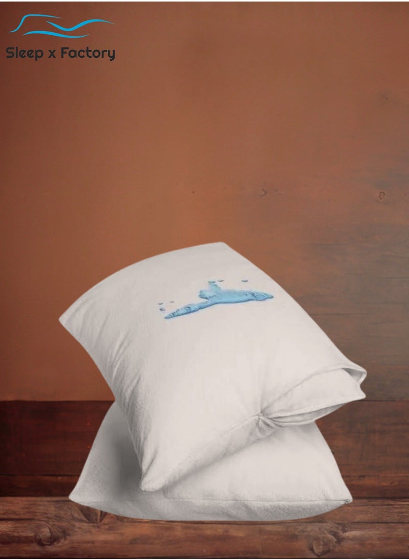 Pillows Protector Set of 2 - pzsku/ZDCCE3A920AF829970DEDZ/45/_/1720955351/4e4f2fc2-d30b-4772-8854-2fc30179f22b