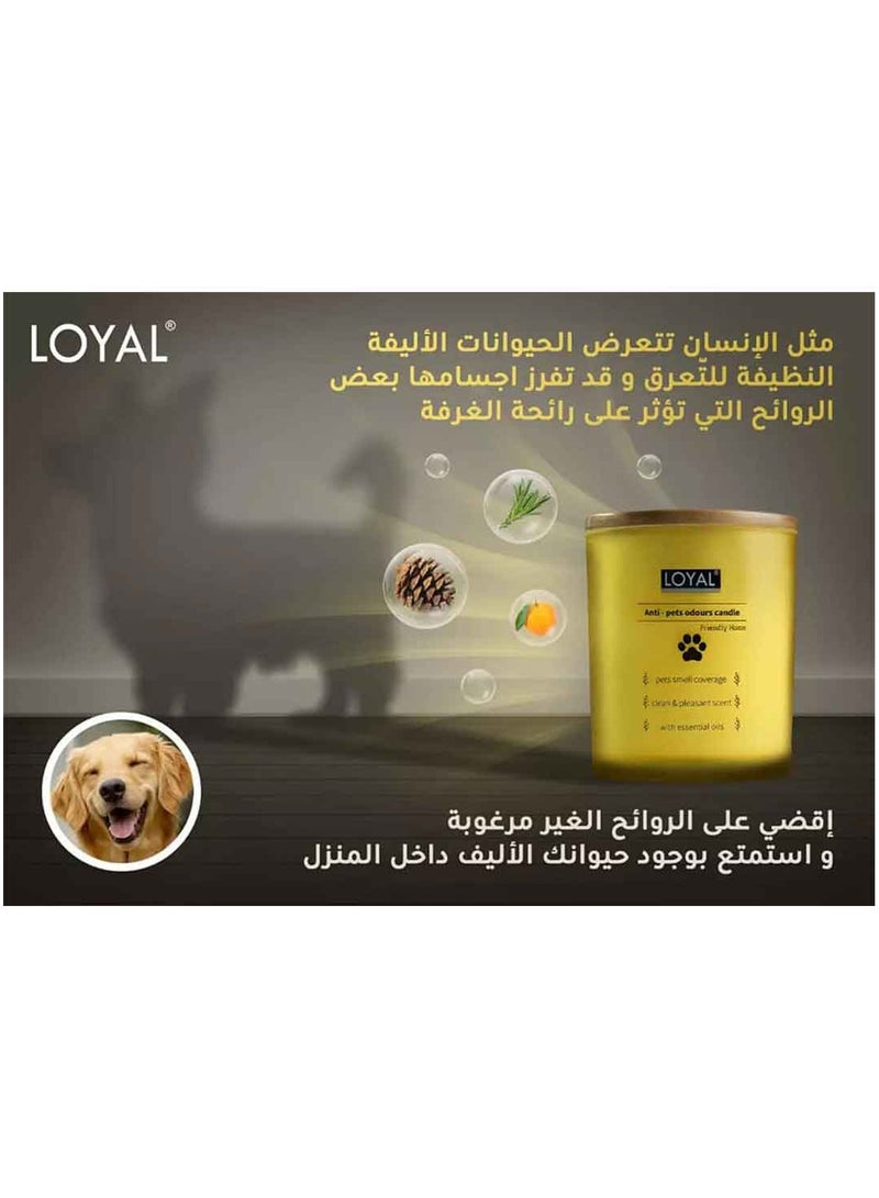 لويال شمعة المضادة لروائح حيوان أليف من لويال - Image 5