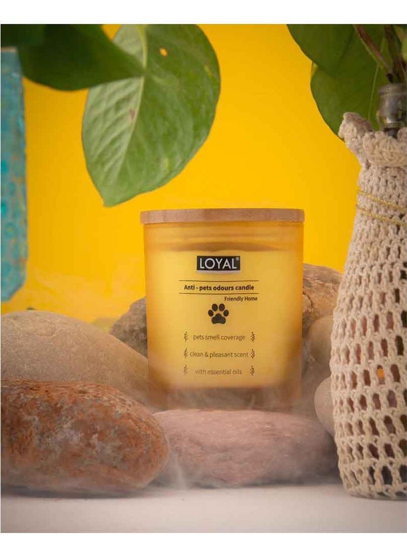لويال شمعة المضادة لروائح حيوان أليف من لويال - Image 4