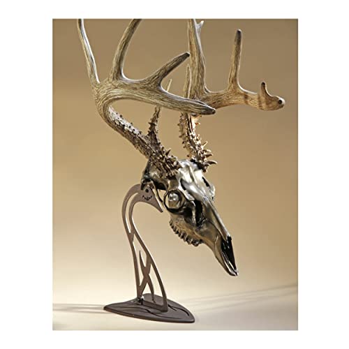 Skull Hooker Table Hooker European Trophy Mount – Perfect Kit for Table Display of Taxidermy Deer Antlers and other Skulls – Robust Brown - Image 2