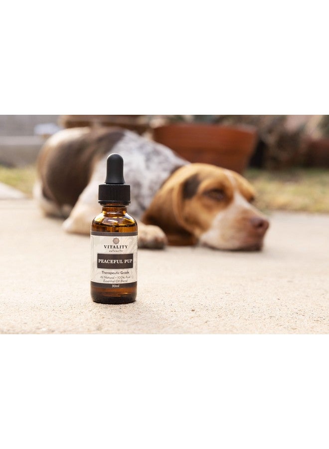 Vitality Extracts Peaceful Pup - Dog Anxiety & Stress Relief (by Vitality Extracts) - Natural Calm, Ease Anxiety & Stress, Aromatherapy, Lavender Essential Oil, Lemon Essential Oil, in Almond Oil Base - Image 3