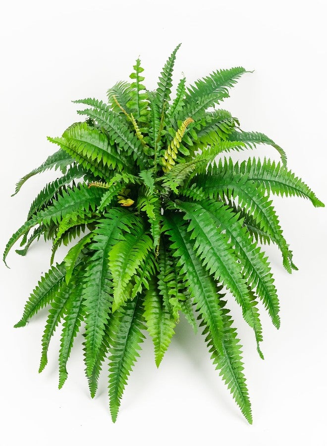 YUGALI 2-Pack 42" Fake Ferns for Outdoor Planter 79 Fronds Large Artificial Boston Fern Bush, Faux Hanging Baskets Plants Indoor 28" Tall Home Office Garden Porch Decor - Image 4