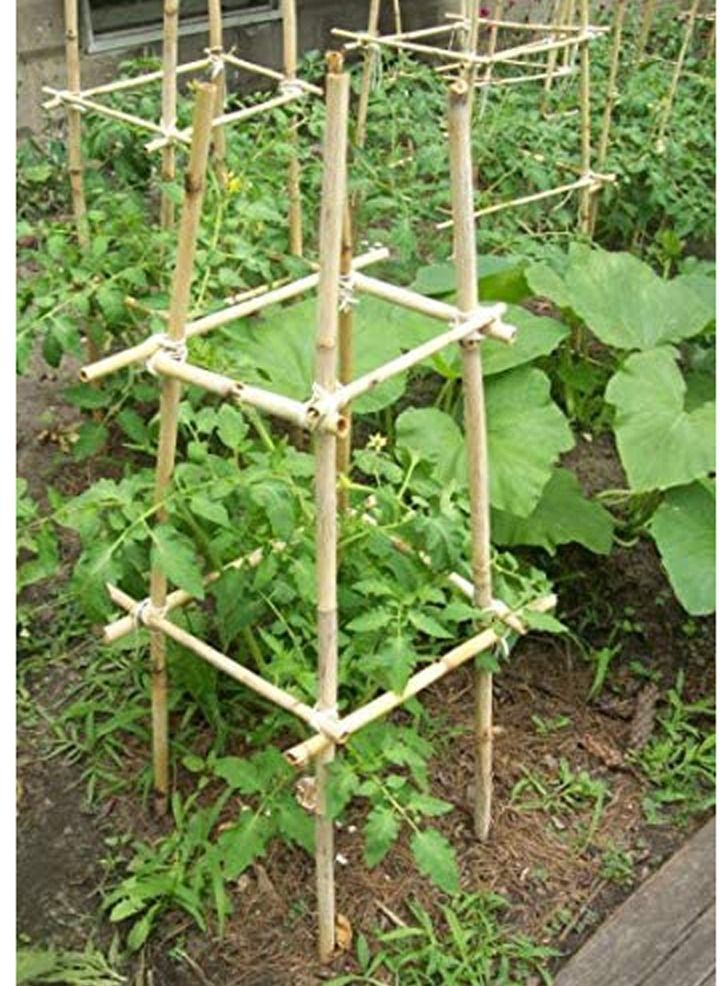 Generic FFD Natural Garden Bamboo Sticks For Indoor and Outdoor Plants Flowers Vine Plants Support Garden Canes Poles Stakes ((100cm)(6pcs))  - Image 3