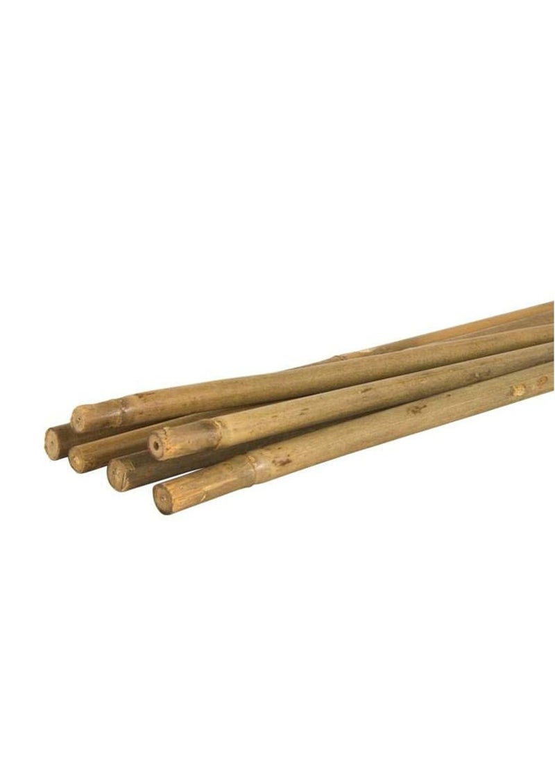 Generic FFD Natural Garden Bamboo Sticks For Indoor and Outdoor Plants Flowers Vine Plants Support Garden Canes Poles Stakes ((100cm)(6pcs))  - Image 1