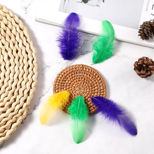 Soarer 300pcs Mardi Gras Feathers for Crafts - 3-5inch Feathers Bulk for Wedding Home Party, Dream Catcher Supplies and DIY Crafts(Mardi Gras) - Image 5