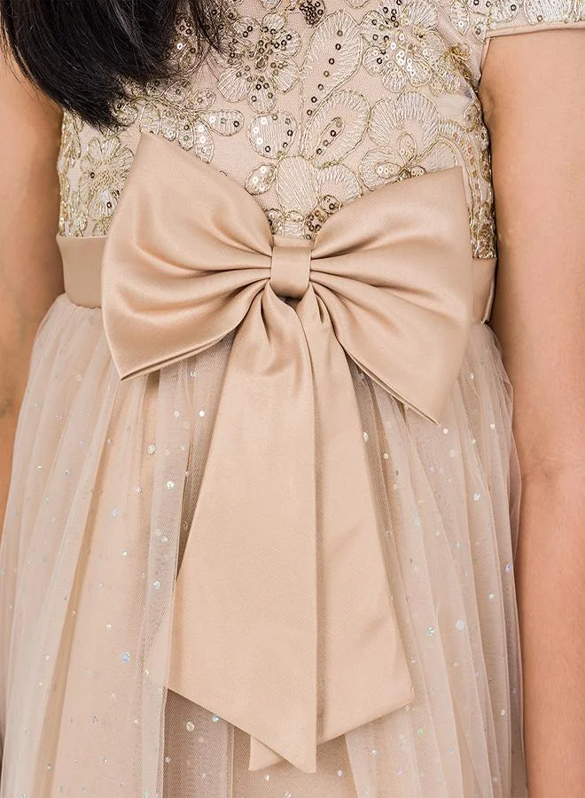 babyqlo Embroidered Tulle Dress