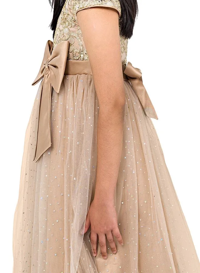 babyqlo Embroidered Tulle Dress