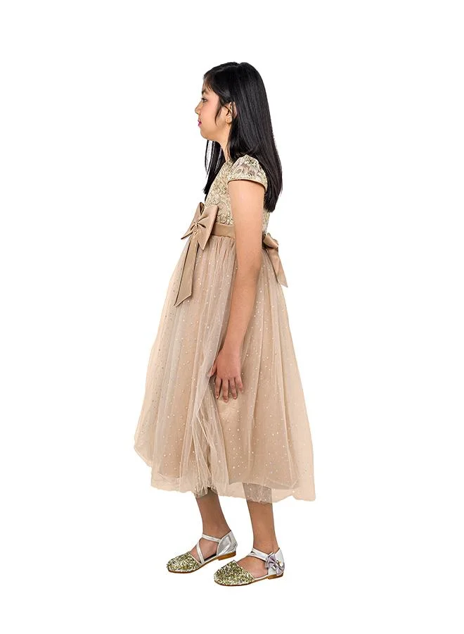 babyqlo Embroidered Tulle Dress