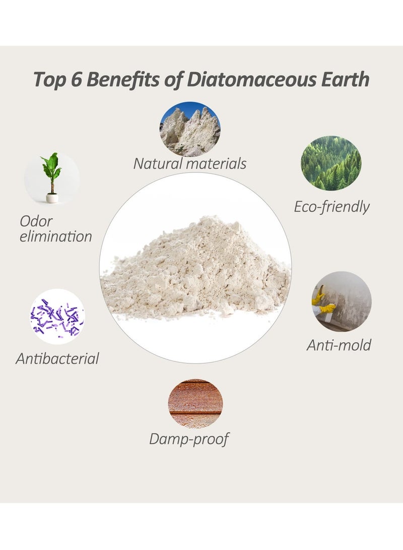 NIBEMINENT Instant Dry Sink Caddy Bathroom Organizer Fast Drying Tray Diatomaceous Earth Stone Dish Soap Sponge Holder Stainless Steel Feet for - Image 5