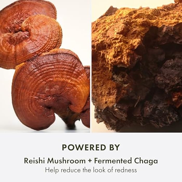 Origins Mega-Mushroom Lightweight Moisturizer | Hydrates, Visibly Reduces Redness & Strengthens Skin | With Reishi Mushroom, 3.4 Fl Oz - Image 5