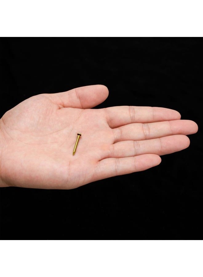 Hardware Philosophy CBH Pure Brass Nails, 0.8 Inch, Bag of 100 - Architectural, Interior Design, Doors, Furniture Cabinet Customization - Image 5