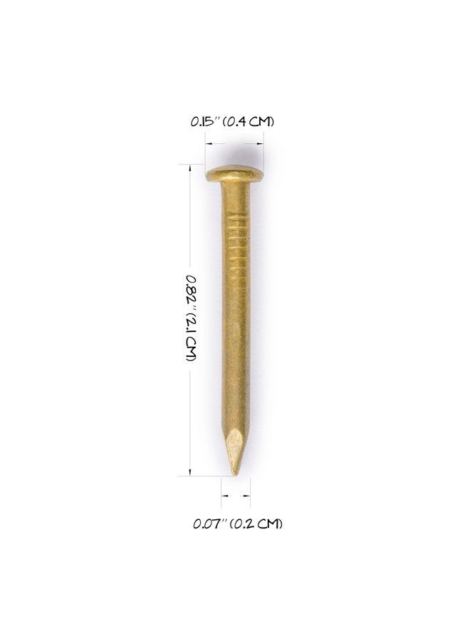 Hardware Philosophy CBH Pure Brass Nails, 0.8 Inch, Bag of 100 - Architectural, Interior Design, Doors, Furniture Cabinet Customization - Image 2