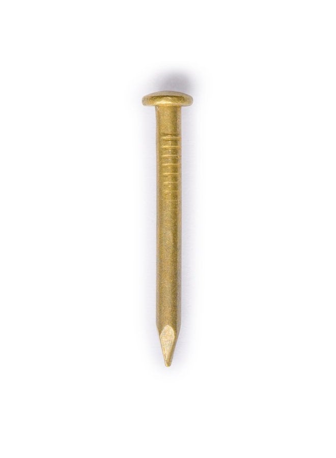 Hardware Philosophy CBH Pure Brass Nails, 0.8 Inch, Bag of 100 - Architectural, Interior Design, Doors, Furniture Cabinet Customization - Image 1