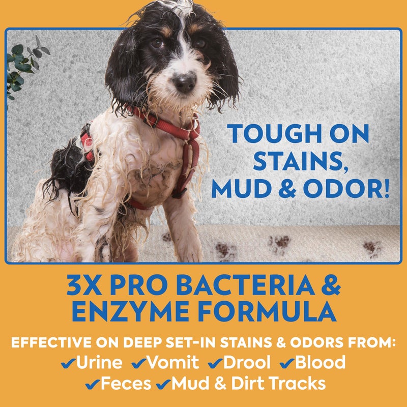 OUT! PetCare Complete Oxy Stain Remover, Oxy Orange Spray, Pet Stain and Odor Eliminator, Carpet Cleaner, Dog Urine Remover and Pet Odor Neutralizer, Upholstery Cleaner, 32 fl oz - Image 3