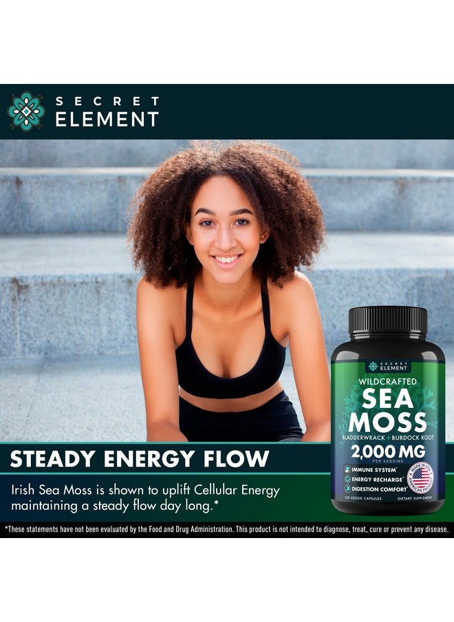 SECRET ELEMENT - Sea Moss Capsules - Irish Sea Moss Advanced with Burdock Root, Bladderwrack & Muira Puama for Immunity, Gut, & Energy - Superfood Sea Moss Supplements w/Raw Sea Moss Powder (2 Pack) - Image 1