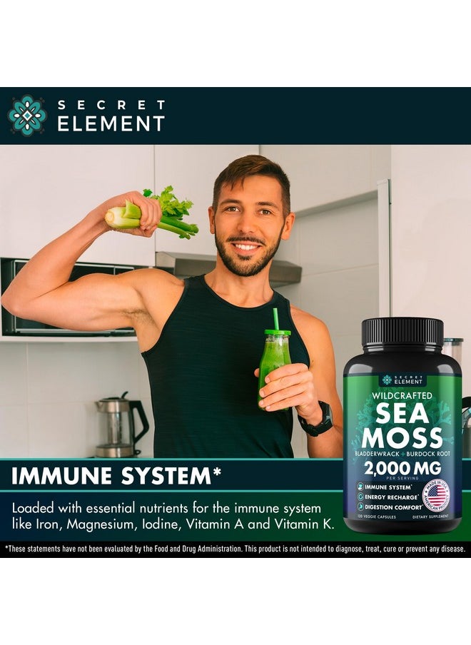 SECRET ELEMENT - Sea Moss Capsules - Irish Sea Moss Advanced with Burdock Root, Bladderwrack & Muira Puama for Immunity, Gut, & Energy - Superfood Sea Moss Supplements w/Raw Sea Moss Powder (2 Pack) - Image 1