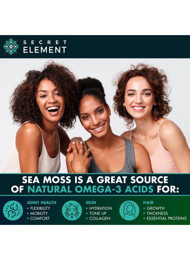 SECRET ELEMENT - Sea Moss Capsules - Irish Sea Moss Advanced with Burdock Root, Bladderwrack & Muira Puama for Immunity, Gut, & Energy - Superfood Sea Moss Supplements w/Raw Sea Moss Powder (2 Pack) - Image 1