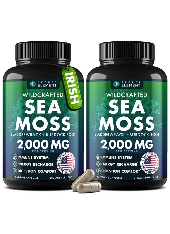 SECRET ELEMENT - Sea Moss Capsules - Irish Sea Moss Advanced with Burdock Root, Bladderwrack & Muira Puama for Immunity, Gut, & Energy - Superfood Sea Moss Supplements w/Raw Sea Moss Powder (2 Pack) - Image 1