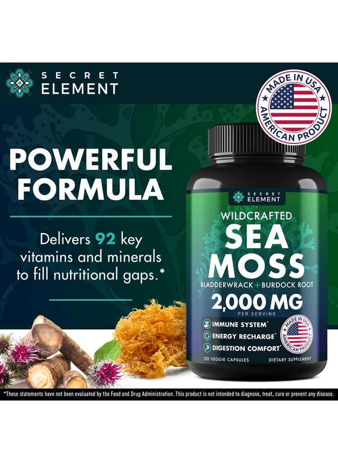 SECRET ELEMENT - Sea Moss Capsules - Irish Sea Moss Advanced with Burdock Root, Bladderwrack & Muira Puama for Immunity, Gut, & Energy - Superfood Sea Moss Supplements w/Raw Sea Moss Powder (2 Pack) - Image 1