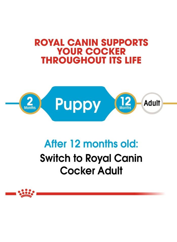 ROYAL CANIN Breed Health Nutrition Cocker Puppy 3 KG - Image 5